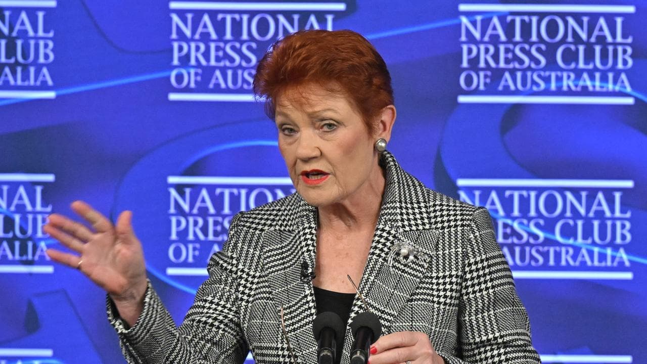One Nation must deliver on Australia's problems to win