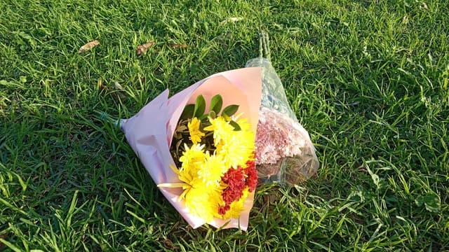 'Absolute disgrace': fatal park attack shocks parents