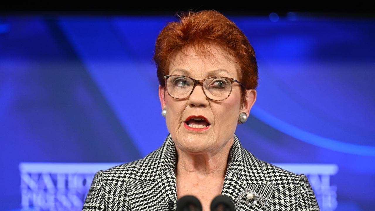 Pauline Hanson wrong on daily migration figure