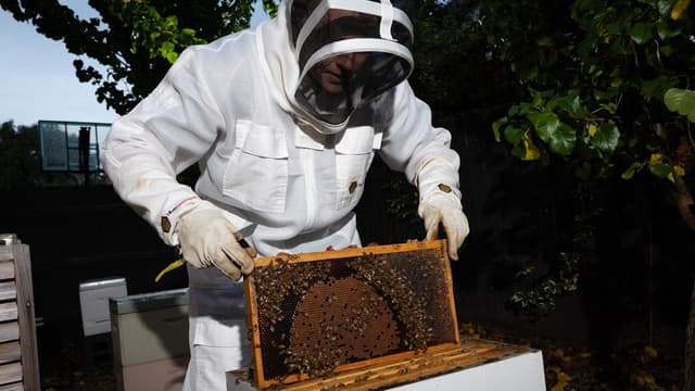 Sweet relief: emergency worker fighting fire with honey