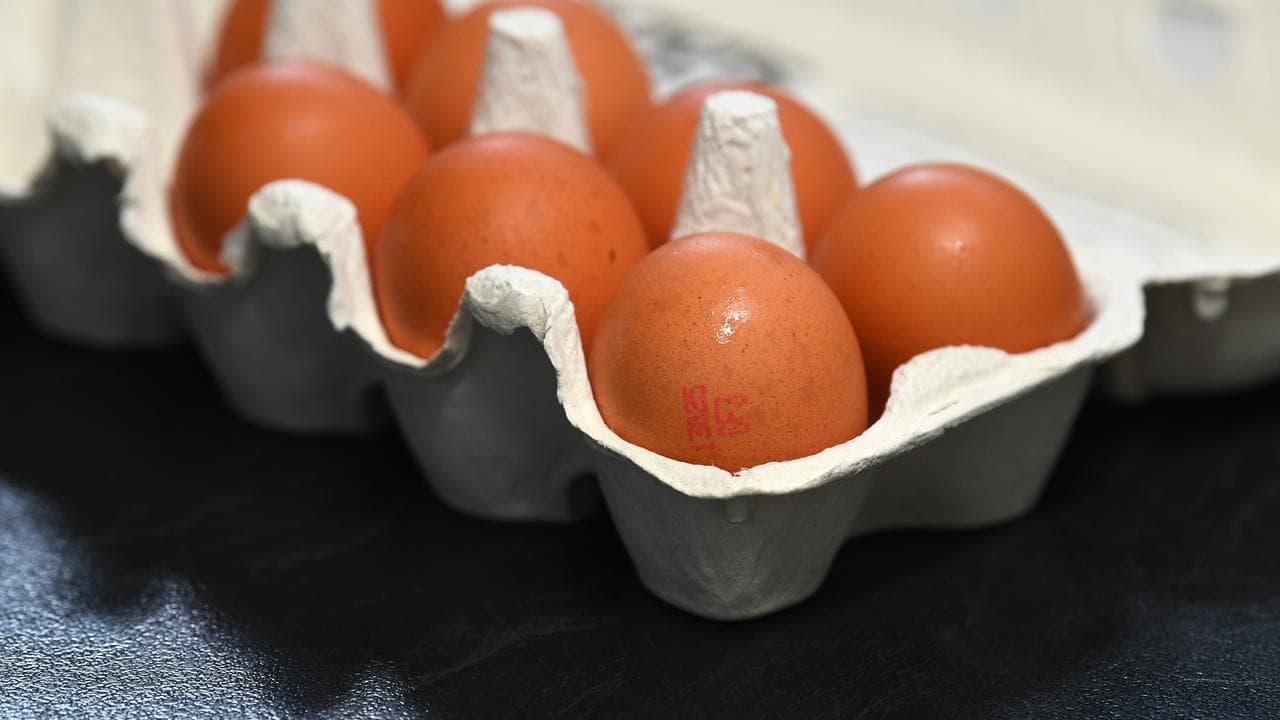 'Safe to eat': scramble to reassure public over virus