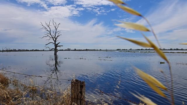 Hopes of a path forward for the Murray-Darling Basin
