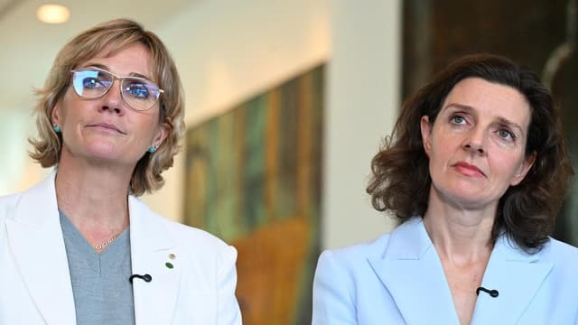 'Broad church': teal party considering election tilts