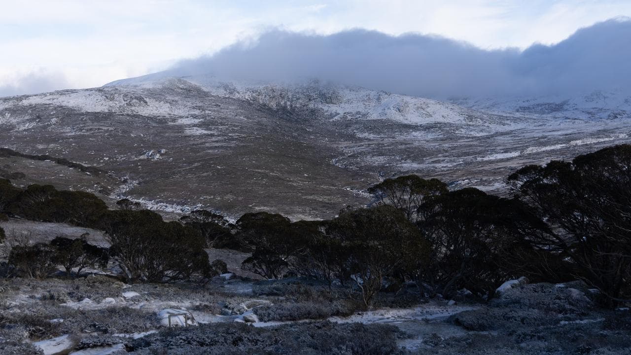 Winter 2026: first came the rain, then came the memes