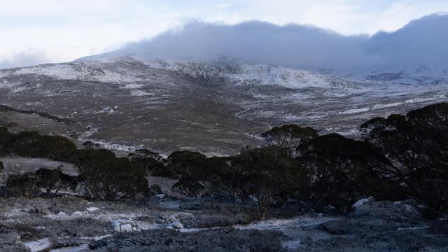 Winter 2026: first came the rain, then came the memes