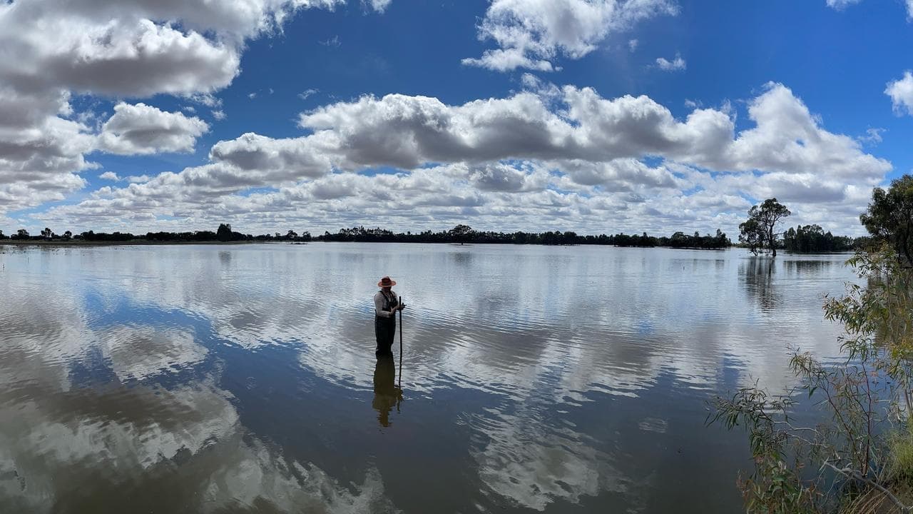 The secret life of birds on river's precious wetlands