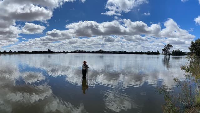 The secret life of birds on river's precious wetlands