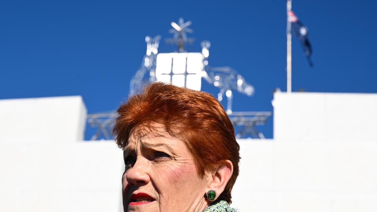 Hanson slides in the polls after voter 'reality check'