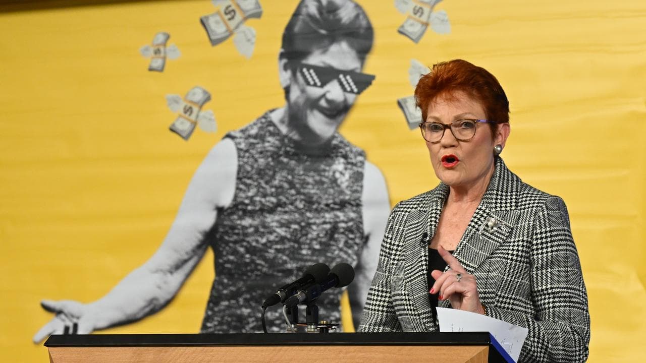 Hanson slides in the polls after voter 'reality check'