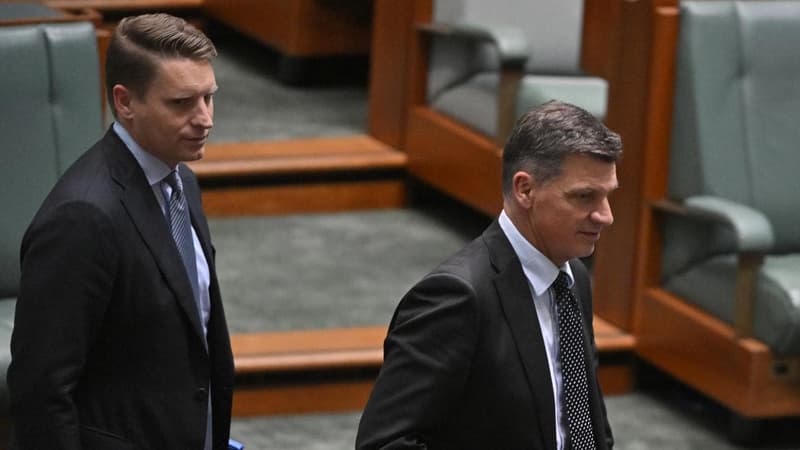 Struggling Liberals seek reboot in winter of discontent