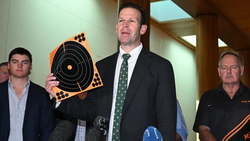 Hopes for national gun buyback fade as deadline expires