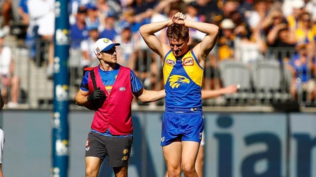 Eagles optimistic AFL career not over for key back