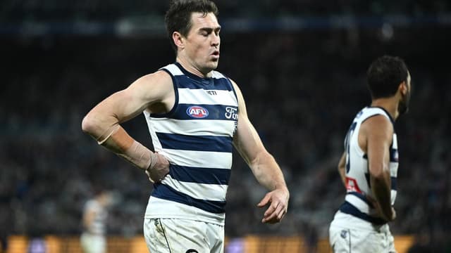 Cats coach confident Cameron will fight out of slump