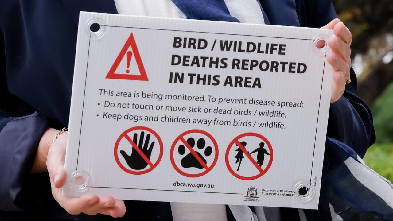 Wider spread fears as bird flu emerges in third state