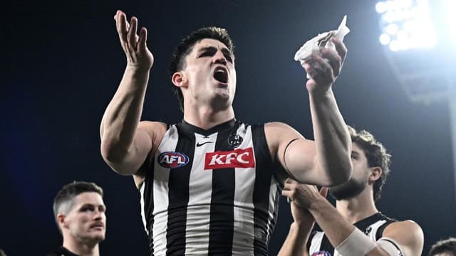 Magpie and Suns stalwarts fined for umpire contact