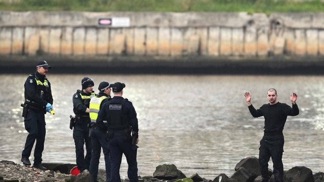 Alleged Pam the Bird vandal arrested in bridge standoff