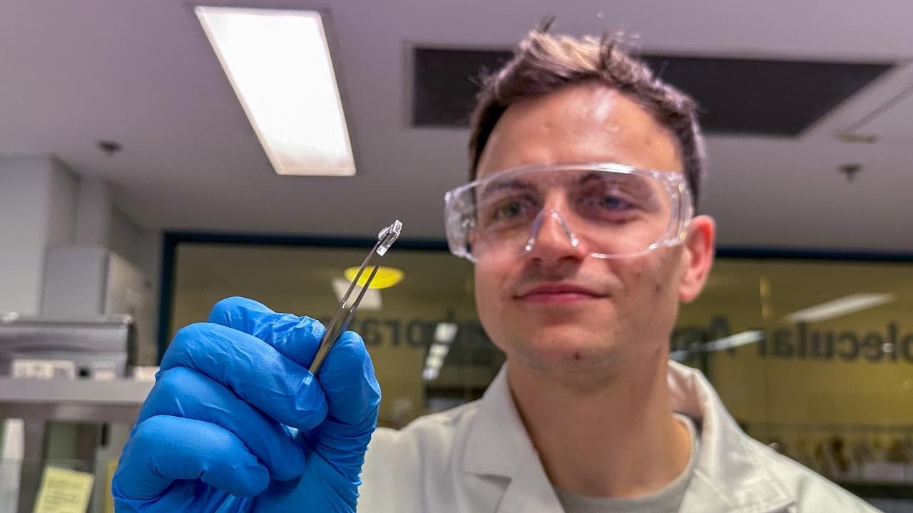 Patches could replace needles in vaccines of the future