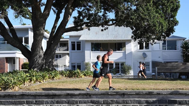 NZ lobby group's claim distorts impact of Greens' tax plan on households