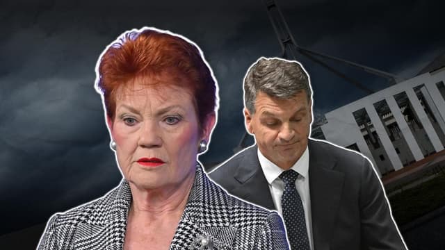 Liberal leader rules out forming One Nation alliance