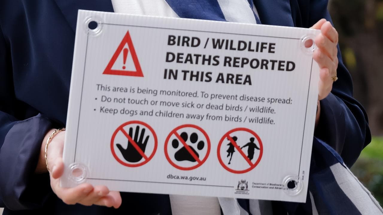 Native bird flu case sparks 'nightmare' wildlife fears