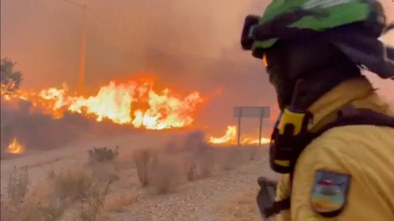 Twelve killed in one of Spain's deadliest wildfires