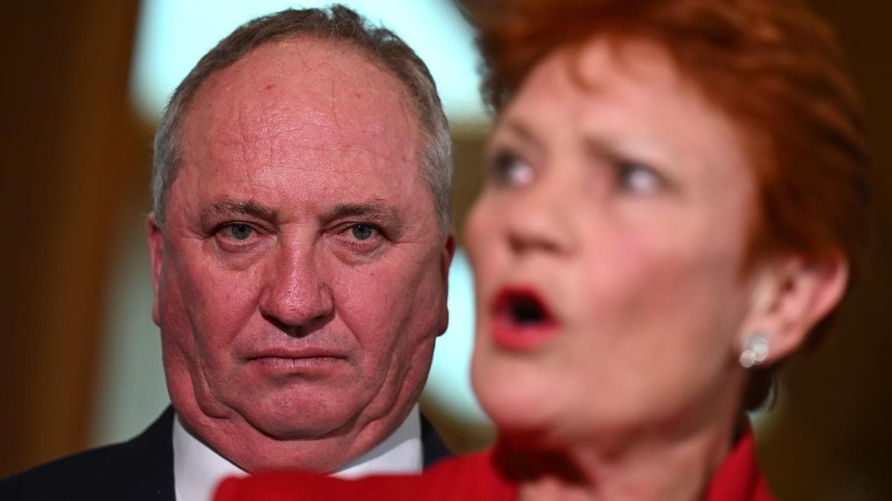 'No resources': One Nation defends uncosted policies