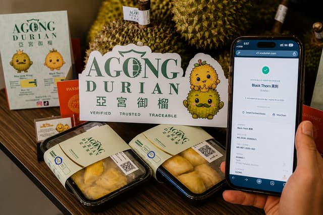 [Official Launch] AGONG Durian Uses Blockchain to Authenticate Every Musang King