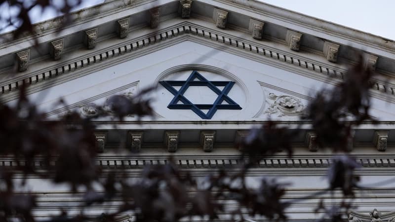 Translator 'lost work' after reporting anti-Semitism