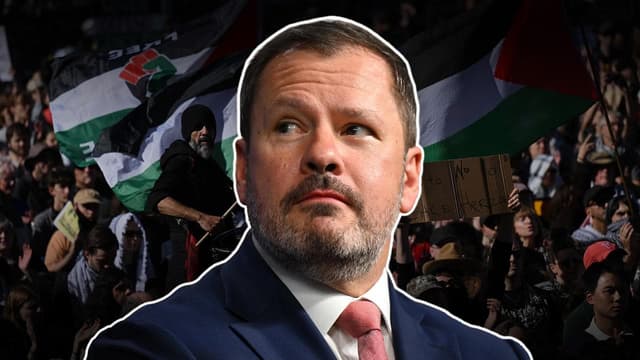 Labor MP blasts party's 'fear and loathing' over Gaza