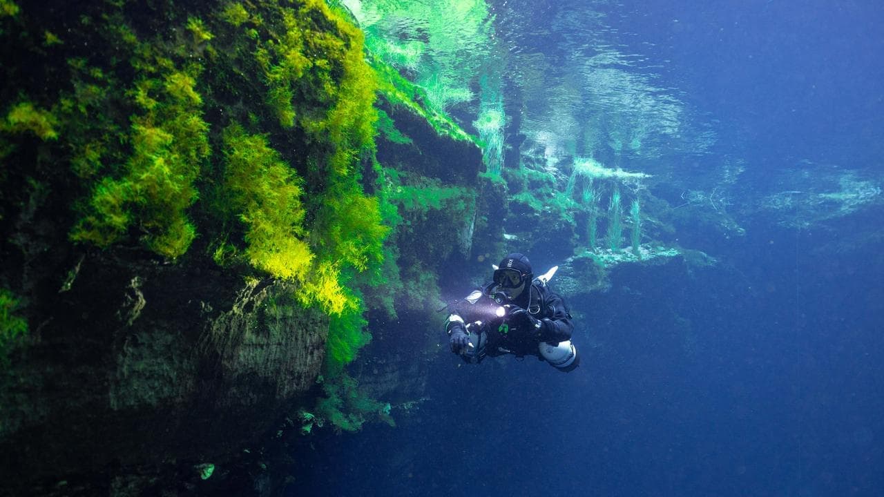 Bone fingerprints unlock hidden underwater stories