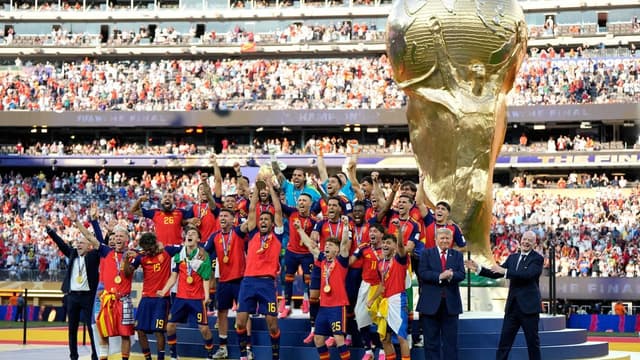 Spain reign after sub's strike in World Cup final