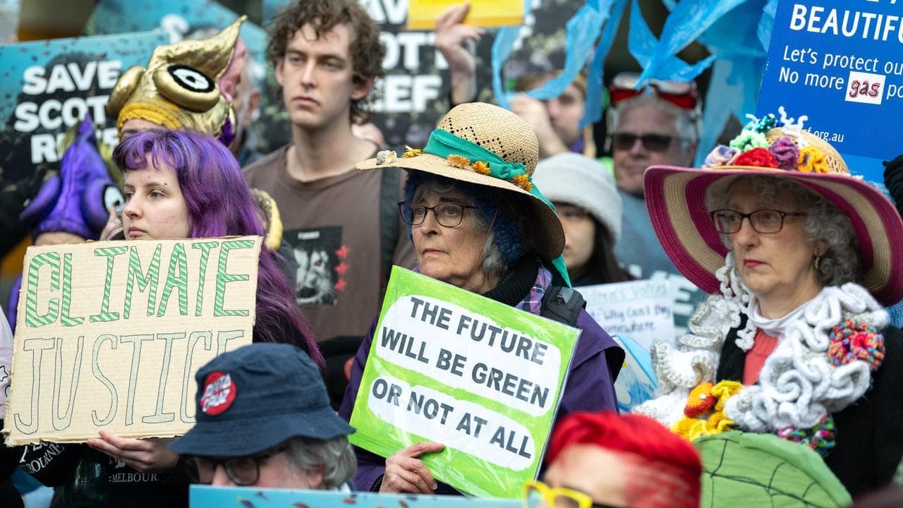 Reef warning in legal showdown over mega gas project