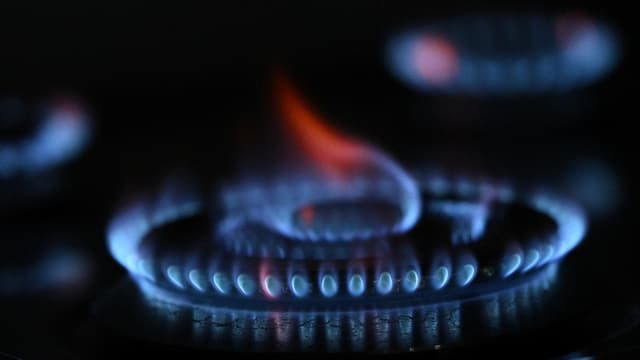 'Real desire': gas tax on the cards at Labor conference