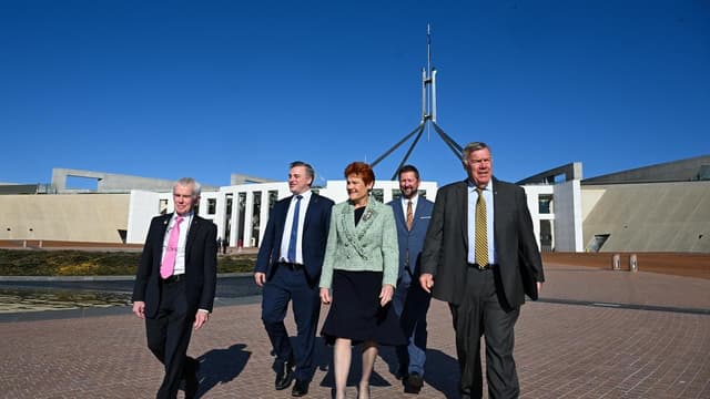 Hanson blasted for 'atrocious' family violence comment