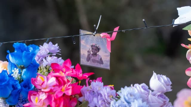 'Viscerally sick': child protection reforms under fire
