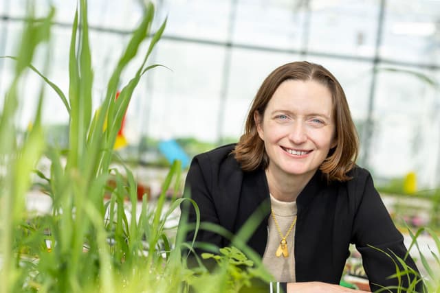 Moa Technology raises Series C round co-led by Oxford Science Enterprises and Supernova Invest