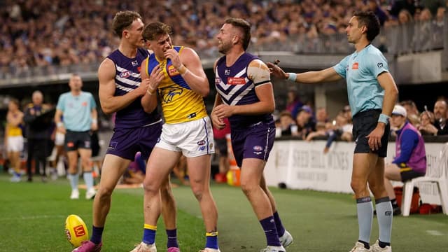 Is Harley Reid copping a bad rap from AFL umpires?