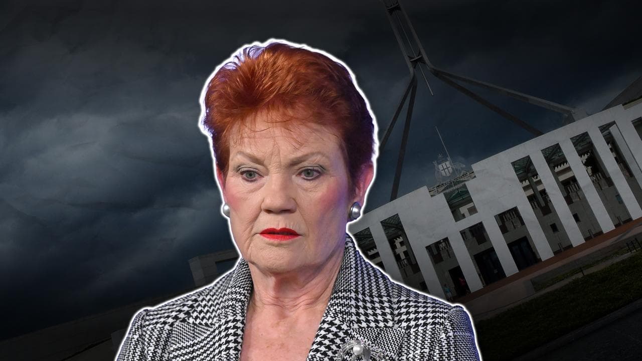 ‘Win for all’ as Hanson loses appeal over racist tweet