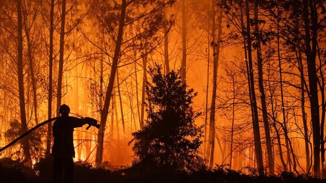 France, Spain struggle to contain massive wildfires