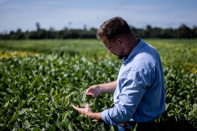 BASF Agricultural Solutions starts global registration of novel PPO herbicide Replexor™ Active