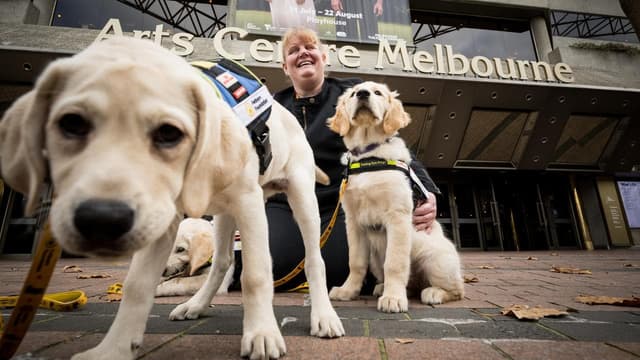 Seeing-eye dog puppies bone up on theatre etiquette