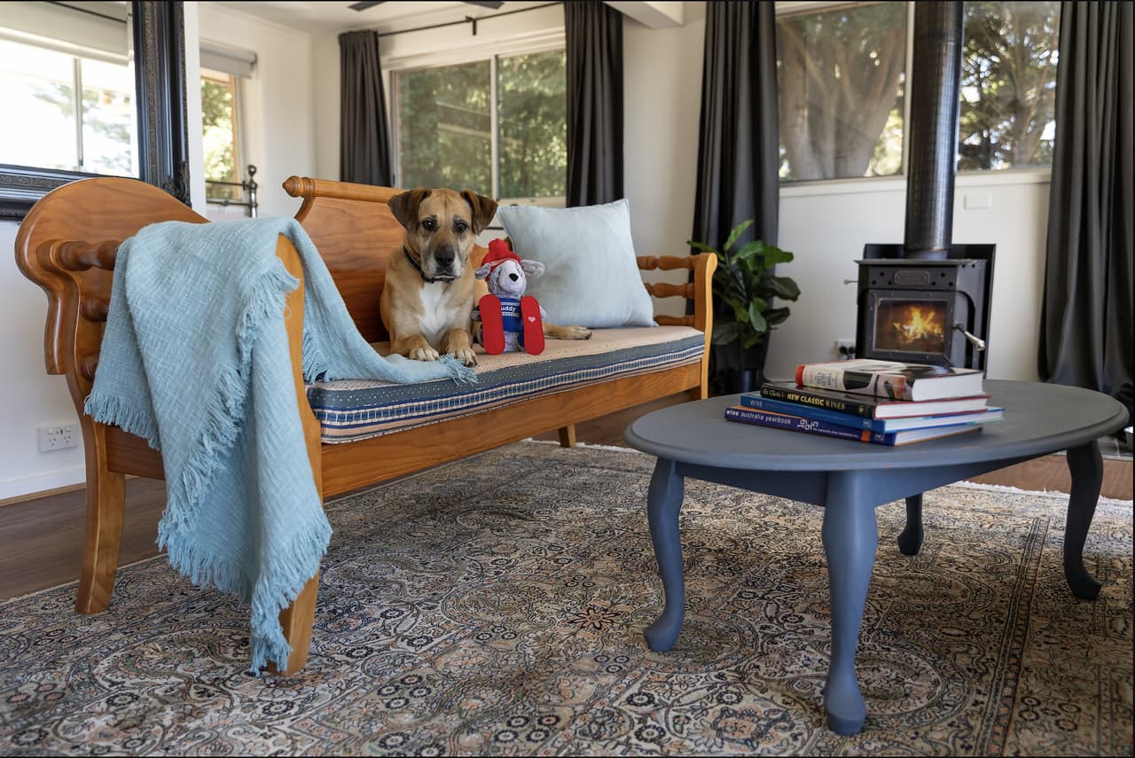 The costly winter pet mistakes Australians are making