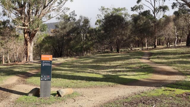 'Real action': historic step for Aboriginal land return