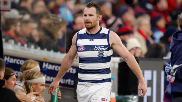 Cats weigh up Dangerfield call for Magpies clash