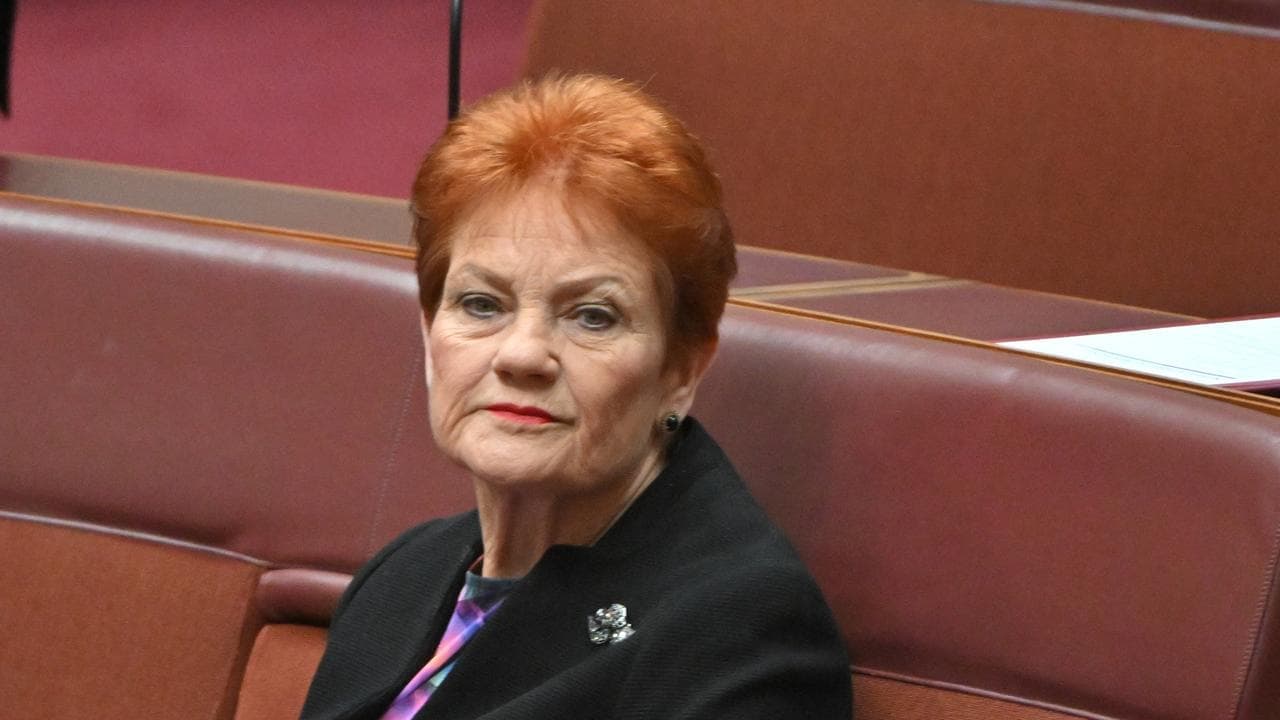 One Nation in hot water with Queensland watchdog