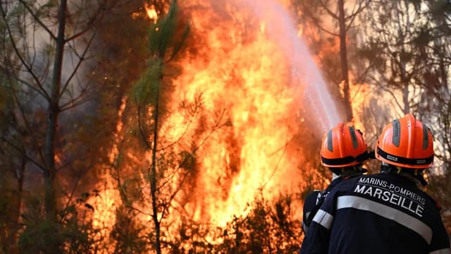 French wildfire evacuees allowed to return home