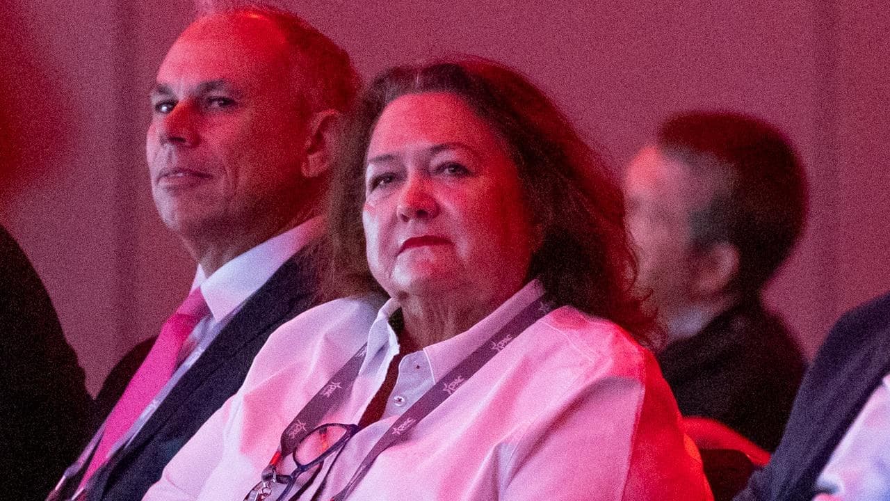 Fruity film fantasy riles free speech fan Rinehart