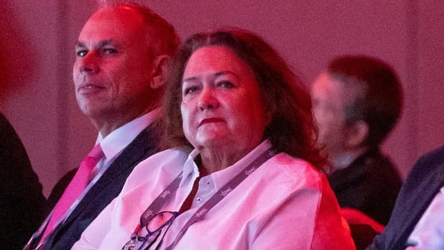 Fruity film fantasy riles free speech fan Rinehart