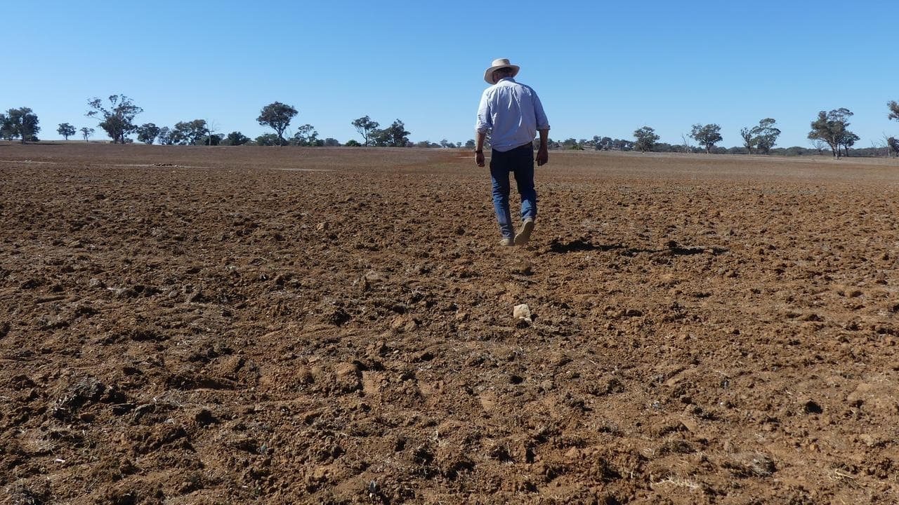 'Cancer doesn't wait': a new plan to help rural men