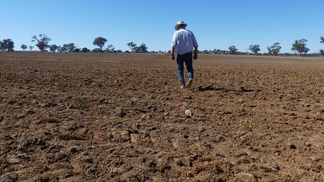 'Cancer doesn't wait': a new plan to help rural men